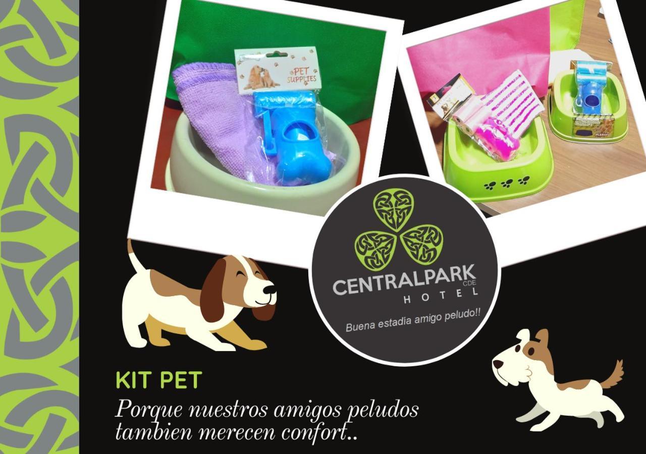 Central Park Cde Ciudad del Este Zewnętrze zdjęcie